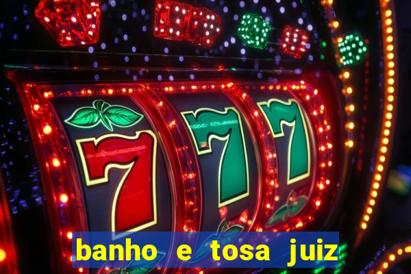 banho e tosa juiz de fora